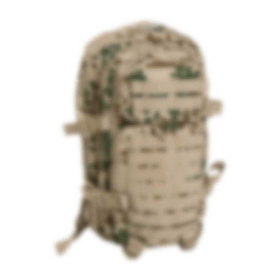 Allegiance Of The Enigma